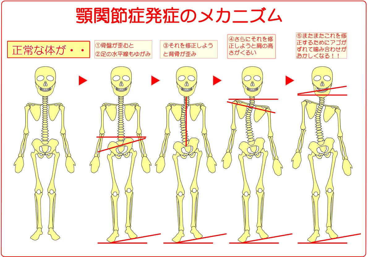 ����ȑ̂��E�E�@1.���Ղ��c�ނƑ��̐��������c�݁A������C�����悤�Ɣw�����c�݁A����ɂ�����C�����悤�ƌ��̍��������邢�A����ɂ�����C�����邽�߂Ɋ{������Ă��ݍ��킹�����������Ȃ�܂��B